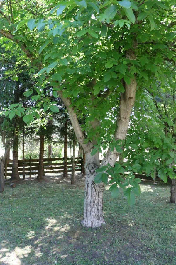 Holiday Home "Iris" Near Plitvice Lakes Rudanovac Exteriér fotografie