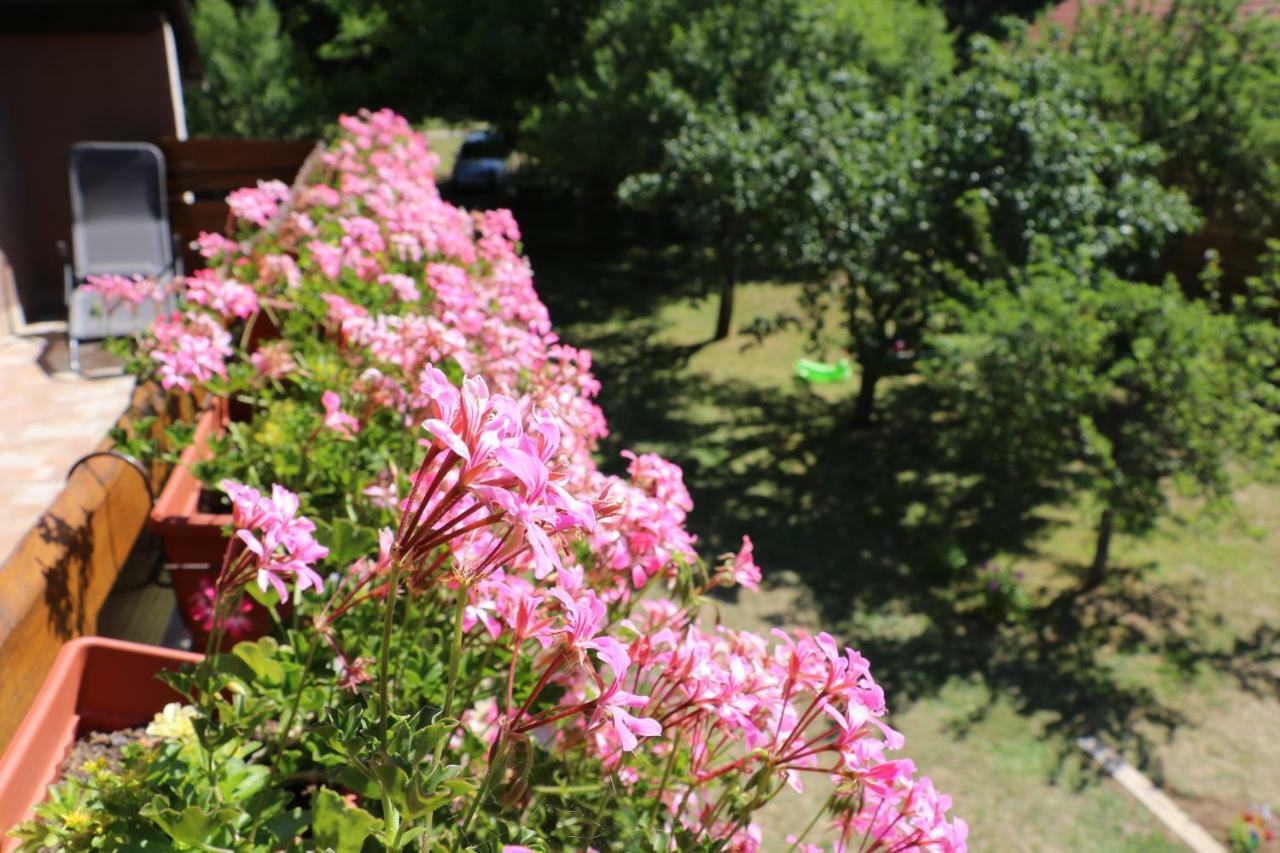 Holiday Home "Iris" Near Plitvice Lakes Rudanovac Exteriér fotografie